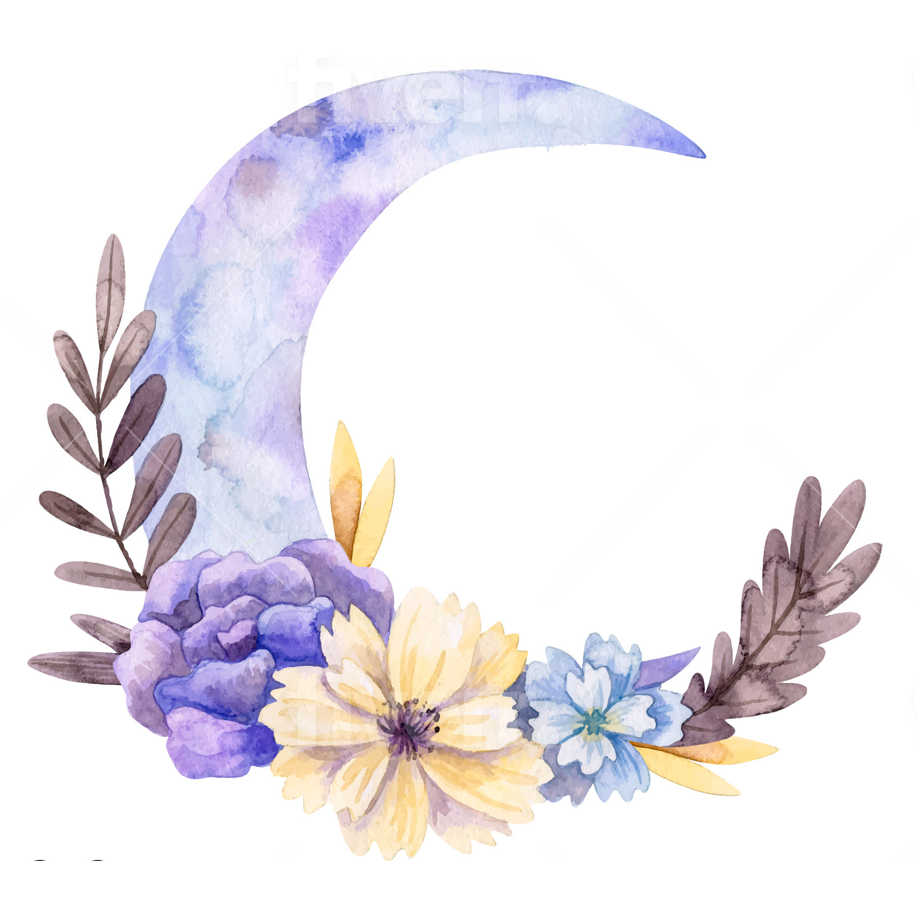 Author Shelly Anne Claire